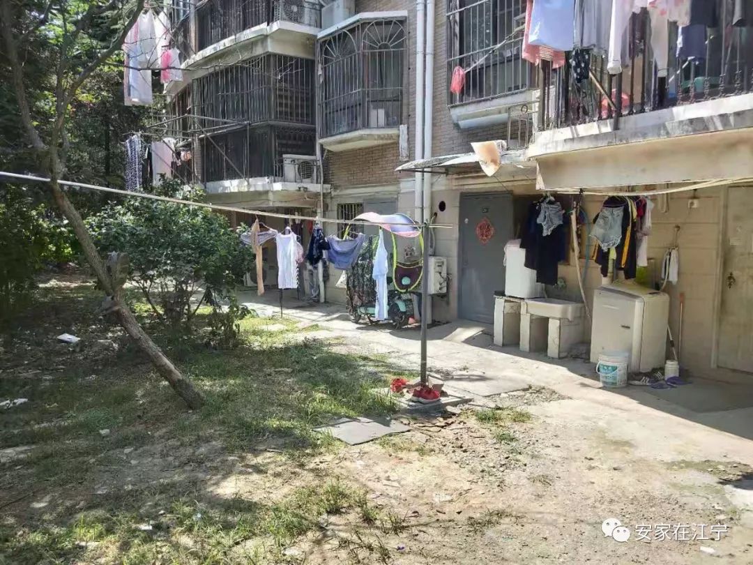 最新大雜亂時(shí)代，混沌與秩序的重建之路