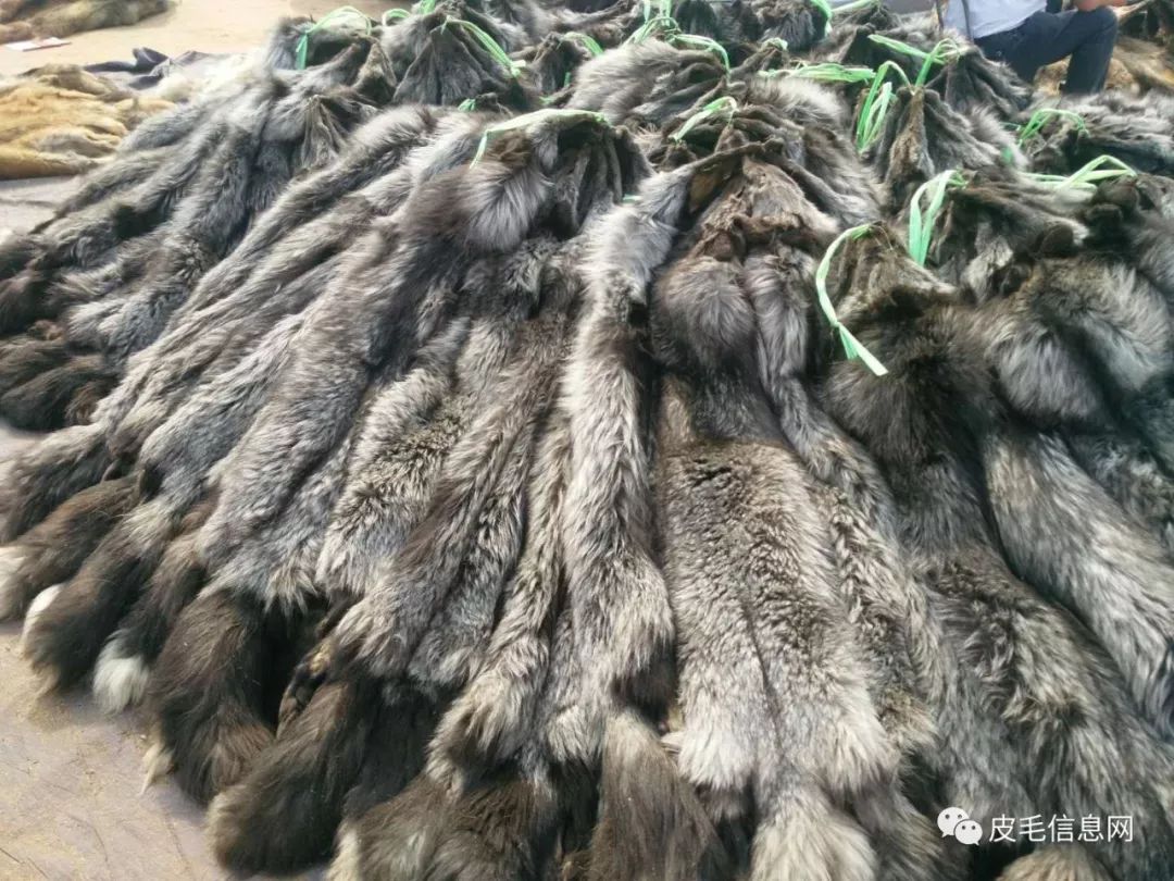 貉皮尚村最新價格，小巷中的時尚皮草寶藏探索