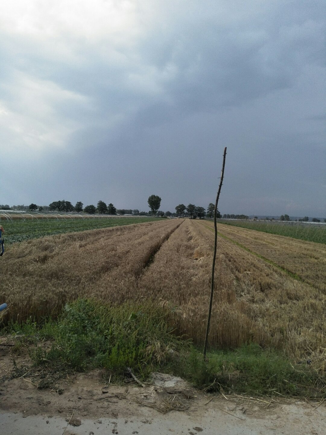 蒲城天氣預報，暖陽下的友情時光