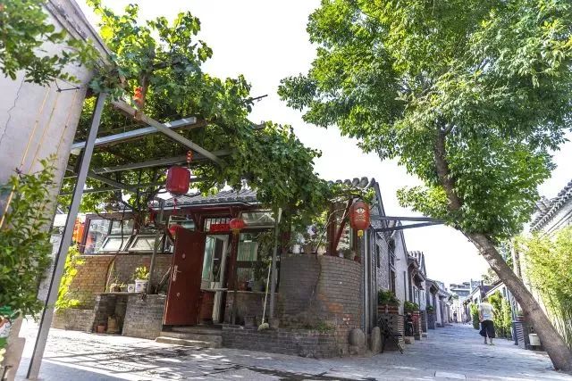 草社區(qū)美食探險(xiǎn)之旅，探尋小巷中的隱藏寶藏與最新地址揭秘