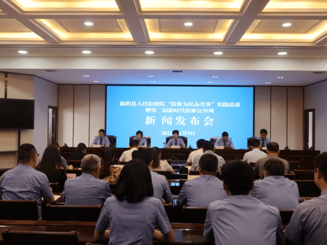 泌陽(yáng)新聞最新動(dòng)態(tài)，多元視角下的觀察與思考