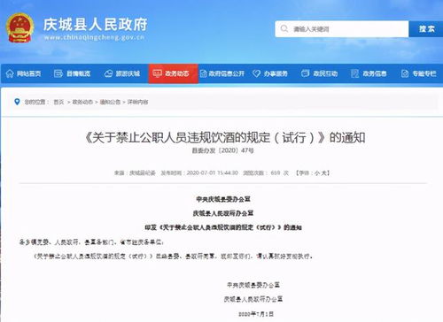 酒駕處罰2024最新標(biāo)準(zhǔn)詳解，步驟指南與更新概覽