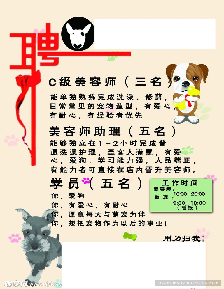 寵物店招聘最新動態(tài)，共探自然之美，尋求內(nèi)心寧靜