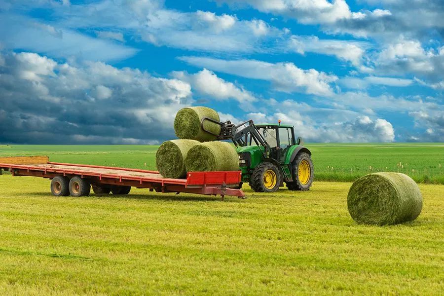 農業(yè)最新動態(tài)，時代的脈搏與綠色希望共舞