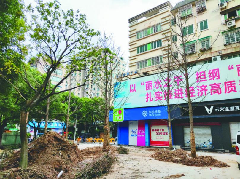 最新吊車網(wǎng)，自然美景之旅與內(nèi)心平靜的探尋