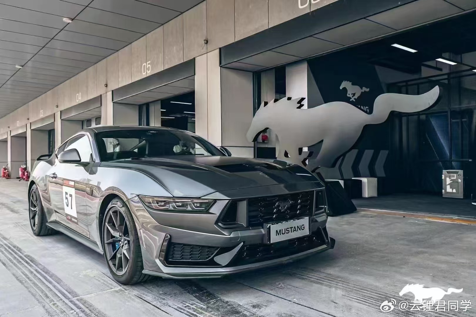 野馬擼最新動(dòng)態(tài)，駕馭變化，自信成就夢(mèng)想之旅