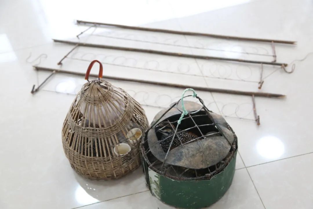 小巷中的神秘寶藏揭秘，最新捕鳥工具揭秘