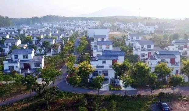 定遠(yuǎn)最新動(dòng)態(tài)更新??速遞