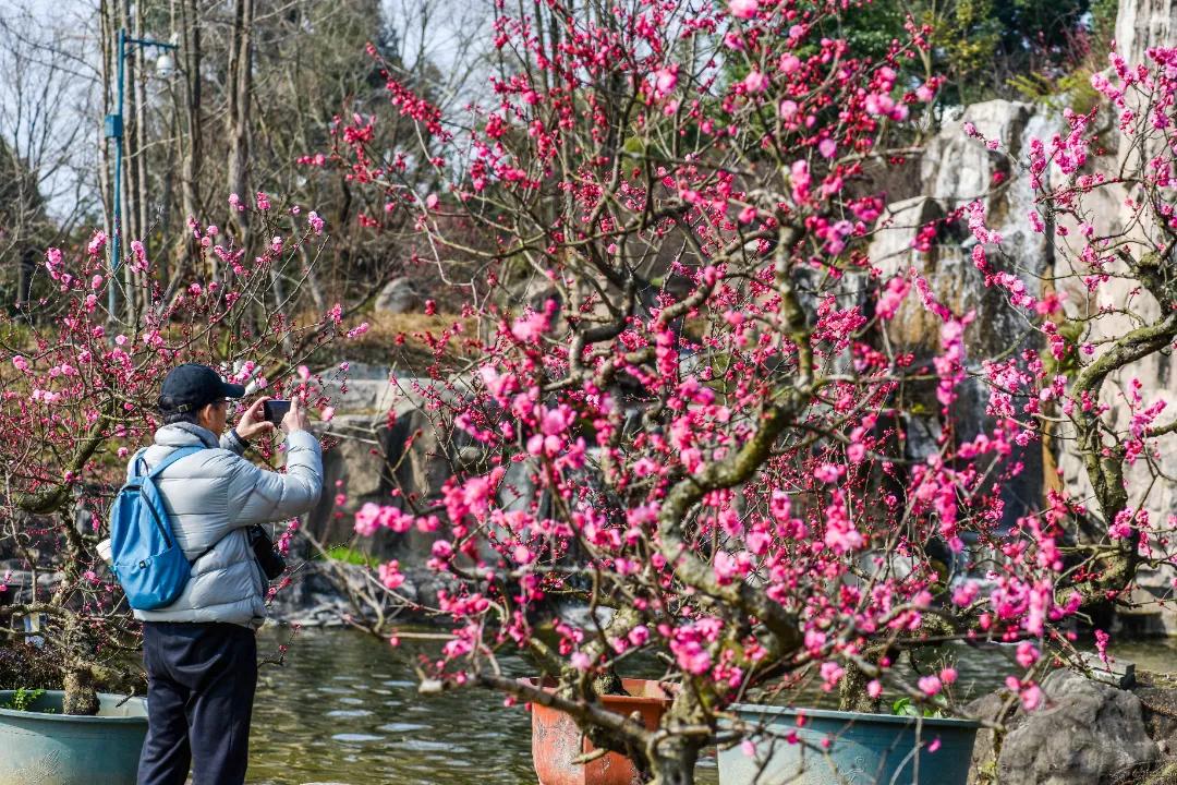 秀麗東方最新動(dòng)態(tài)，啟程探索自然之美，尋找內(nèi)心寧?kù)o之旅