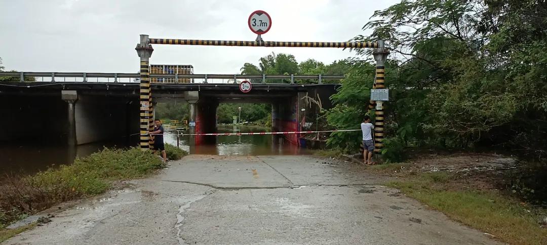 惠陽臺(tái)風(fēng)最新消息，小巷深處的風(fēng)味秘境