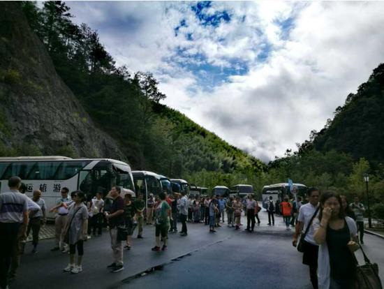 泰順高鐵最新動(dòng)態(tài)更新，最新消息一覽