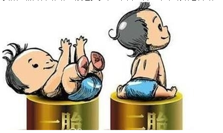 最新雙胞胎補助政策，攜手同行，助力孕育夢想之路