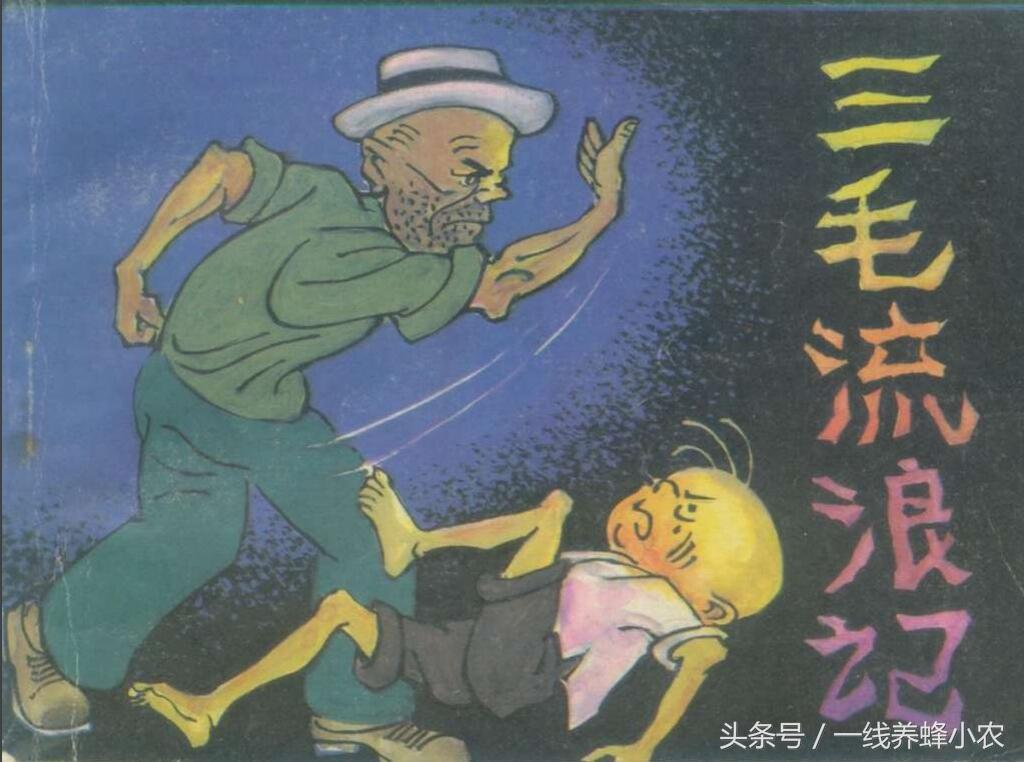 上海三毛最新動態(tài)，自然美景探索之旅啟幕