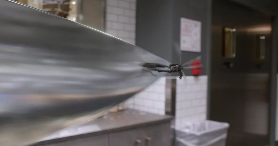 最新電泳技術(shù)，一路向前，學習成就自信之源