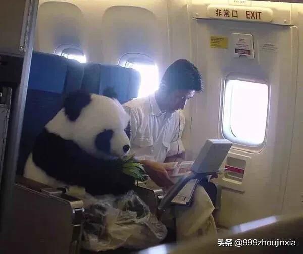 追逐變化之翼，學習鑄就自信與成就——虛幻最新探討