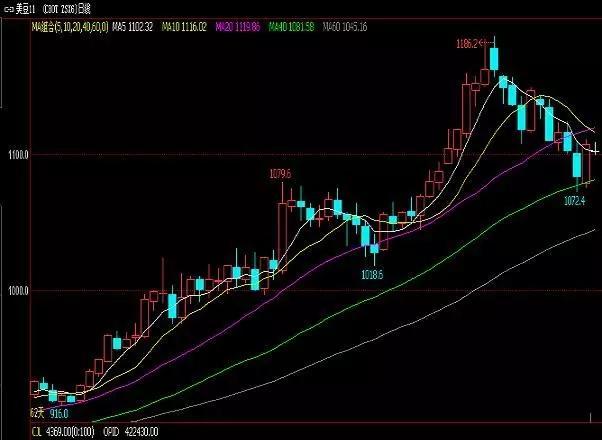 豆油最新行情概覽，市場走勢分析與未來展望