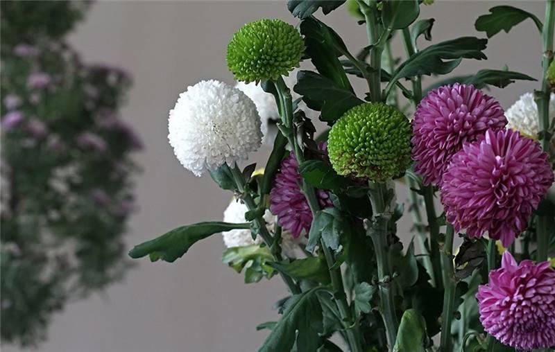 最新娛樂頭條，躍上成功舞臺(tái)的魔力之旅，自信與成就感的碰撞