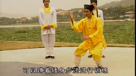 太極最新音樂，傳統(tǒng)與現(xiàn)代的完美融合藝術(shù)展現(xiàn)