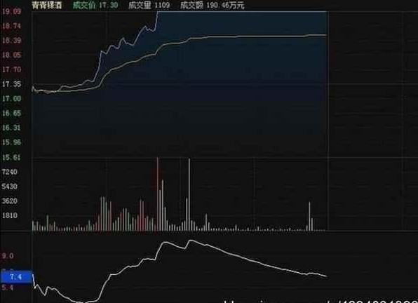 胡立陽最新探索，自然美景的治愈之旅