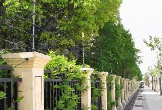 山河藥輔最新動態(tài)，引領(lǐng)醫(yī)藥行業(yè)新篇章