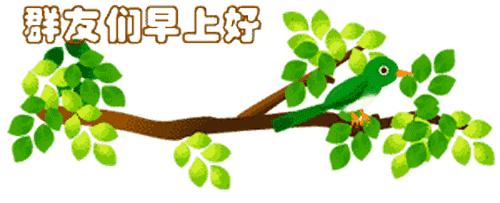 最新清晨祝福短信，晨曦中的溫暖問候，傳遞美好祝愿與關懷