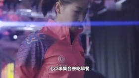 笑斯人最新視頻，日常趣事與友情的紐帶展現(xiàn)！