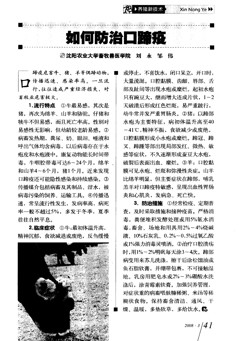 口蹄疫最新科研，自然探險與內(nèi)心平和的追尋之旅