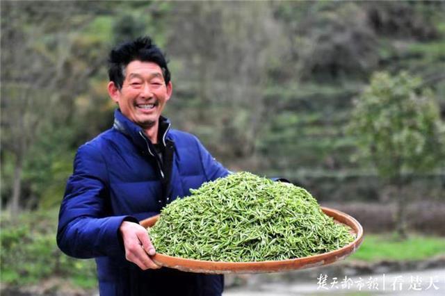 最新夷陵新聞，探索自然美景的旅程，尋覓內(nèi)心平和之地