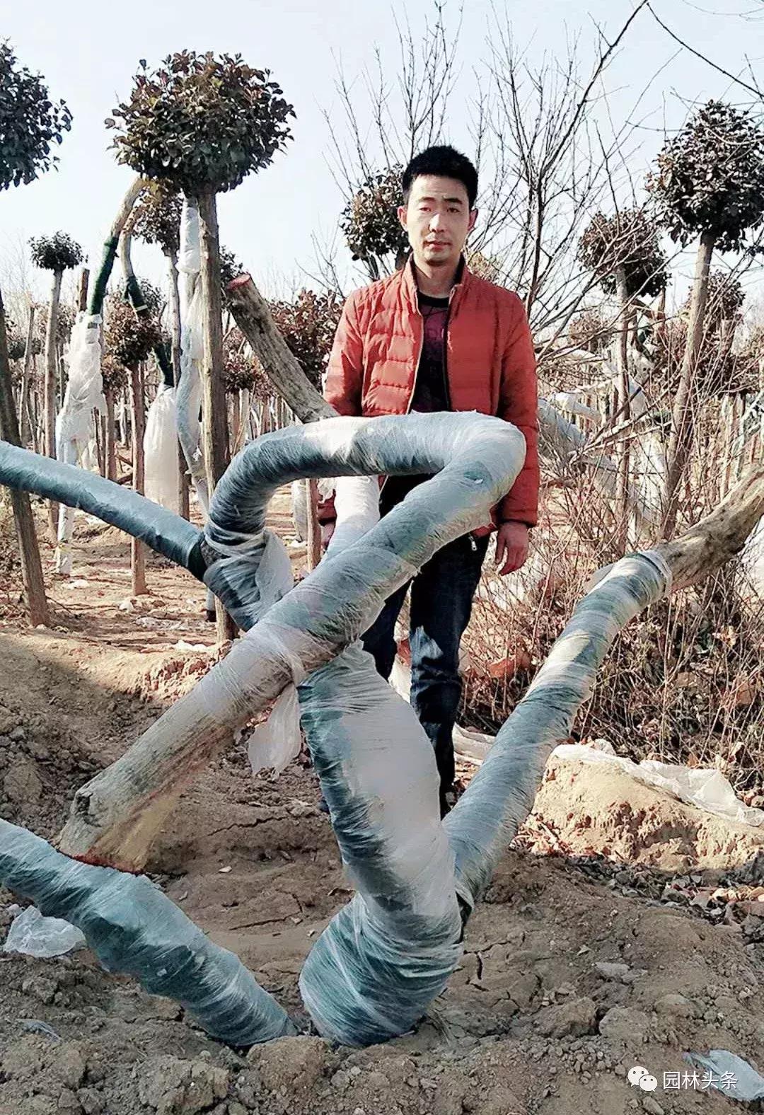 定州最新急招工，時(shí)代的呼喚與行業(yè)重塑的挑戰(zhàn)