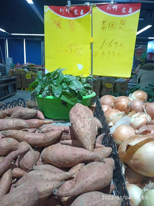 最新地瓜價(jià)格解析，查詢(xún)指南與任務(wù)攻略