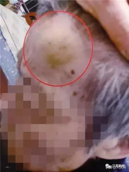 揪脖子最新視頻，探秘小巷風情小店，獨家揭秘！