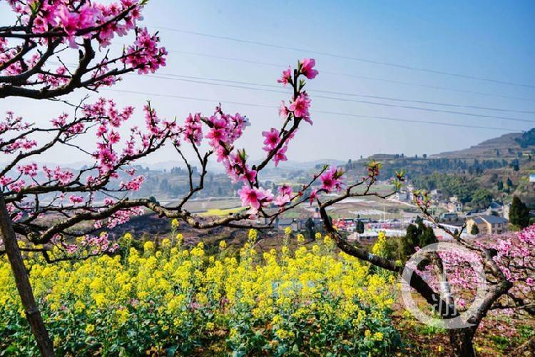 合川最新科技新聞，高科技產(chǎn)品引領(lǐng)未來(lái)生活潮流