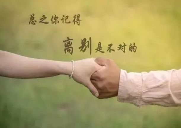 科技新品領(lǐng)略之旅，智能生活的前所未有體驗(yàn)