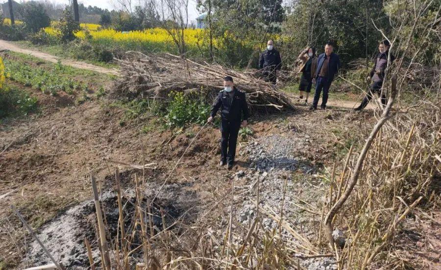 溧陽最新天氣，氣象變遷與地域影響探究