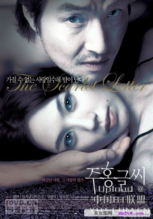 最新內(nèi)地倫理電影探索與啟示，揭示社會(huì)倫理的啟示與價(jià)值