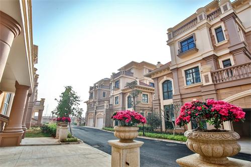 新泰最新樓盤，城市發(fā)展與居住品質(zhì)的新篇章