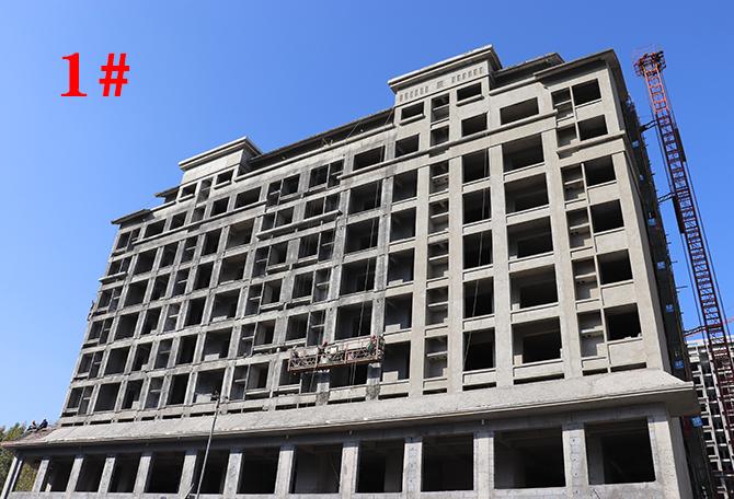 平輿最新樓盤市場現(xiàn)狀與前景展望，深度解析市場趨勢與發(fā)展前景展望