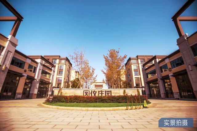 鳳儀莊園最新動態(tài)，家的溫馨與友情的綻放時刻