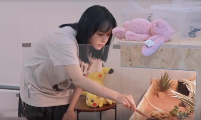 程瀟最新綜藝節(jié)目，心動(dòng)瞬間，不容錯(cuò)過(guò)！?