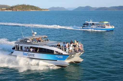 時(shí)代背景下的璀璨星辰，最新號(hào)號(hào)天堂綜述