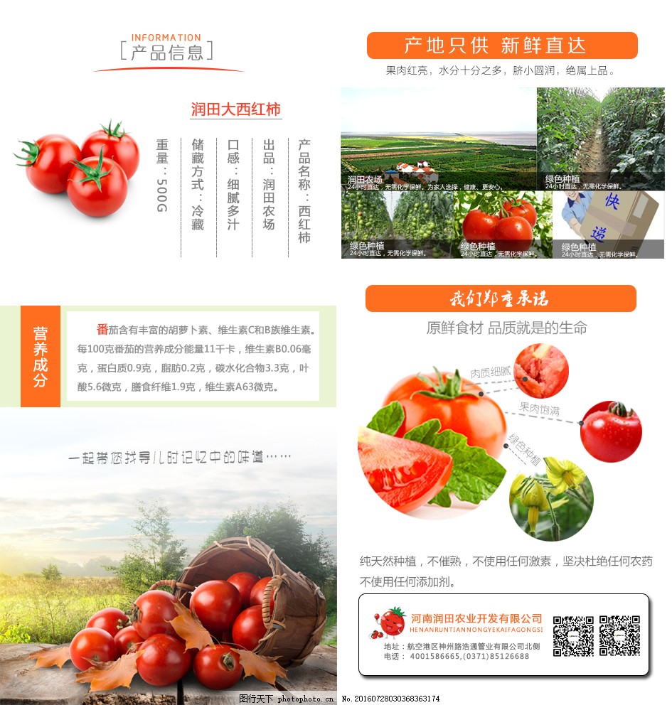 安徽西紅柿產(chǎn)地探秘，自然美景與鮮美西紅柿的邂逅之旅