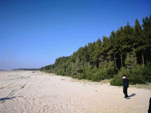 揭秘2025最新臺(tái)風(fēng)路線，提前預(yù)警，保障安全無憂