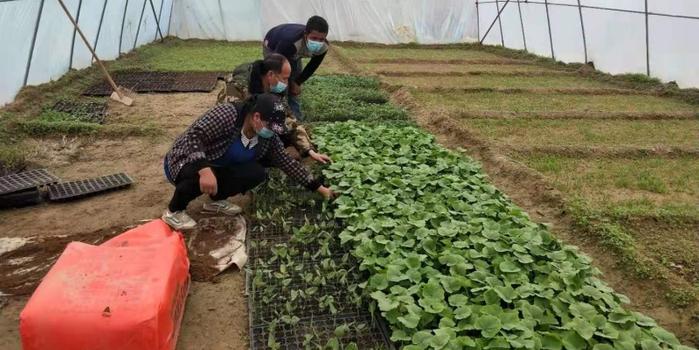 策勒最新招聘啟航人才新篇章，學(xué)習(xí)變化，擁抱自信與成就，啟程人生新征程！