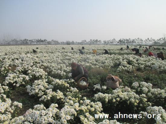 界首最新新聞，學習變革的力量，自信與成就感的融合之路