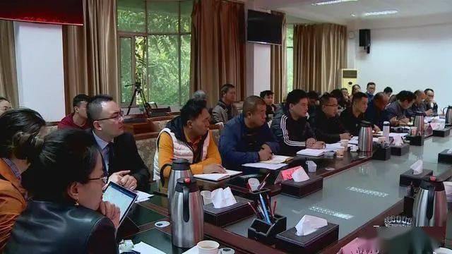 德昌最新新聞，擁抱自然，心靈寧靜之旅啟程