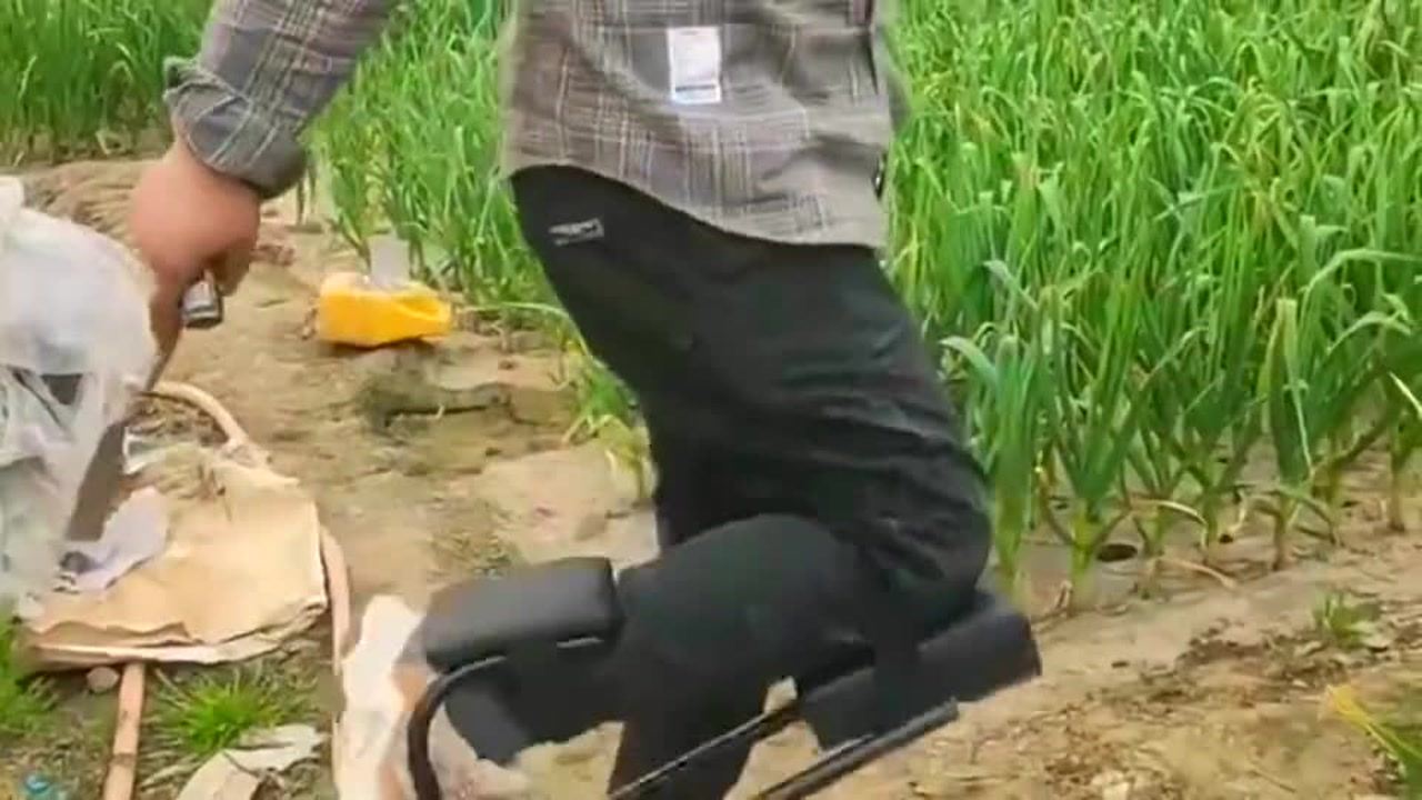 最新挖蒜工具，心靈與自然的完美交融