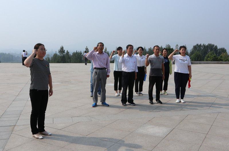 肥城房產(chǎn)最新動(dòng)態(tài)，市場(chǎng)走勢(shì)、熱門區(qū)域與案例分析