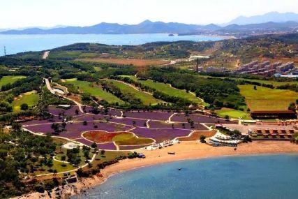 心悅海島探險攻略，最新任務(wù)指南與探險體驗