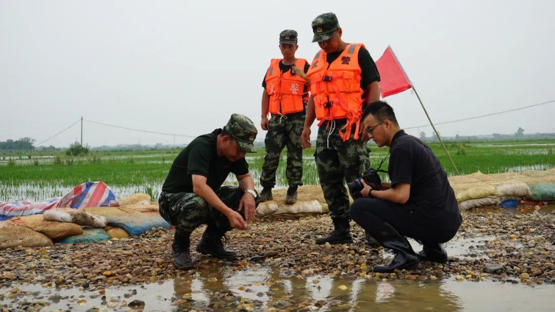 永修最新聞，背景探尋與時代地位的重要事件回顧