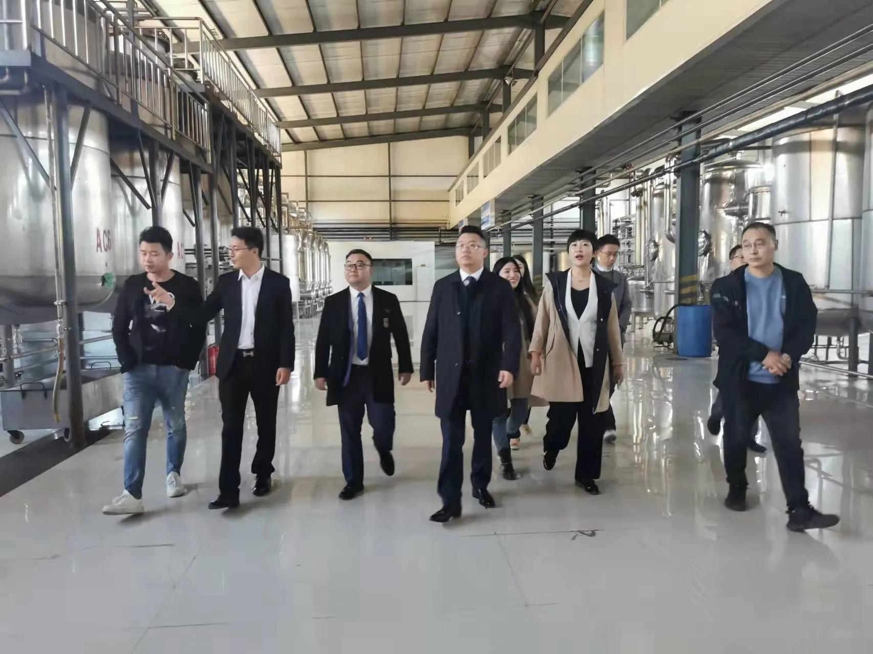 鼎恒升最新動態(tài)，追溯特定領域的發(fā)展歷程與重要地位